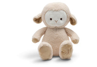 Knuffel met Licht en Geluid