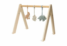 Babygym Speeltjes - Roarsome