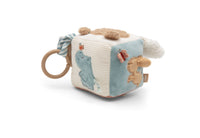 Activity Cube - Jollies