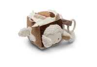 Activity Cube - Woolly